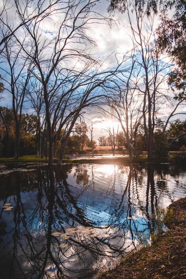 Bass Lake Country Lodge Pretoria-Noord Εξωτερικό φωτογραφία
