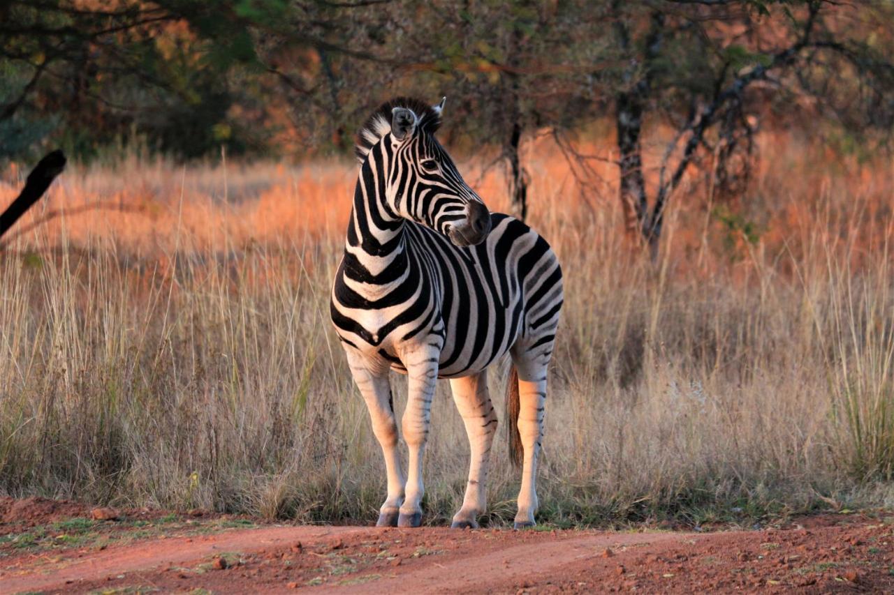 Bass Lake Country Lodge Pretoria-Noord Εξωτερικό φωτογραφία